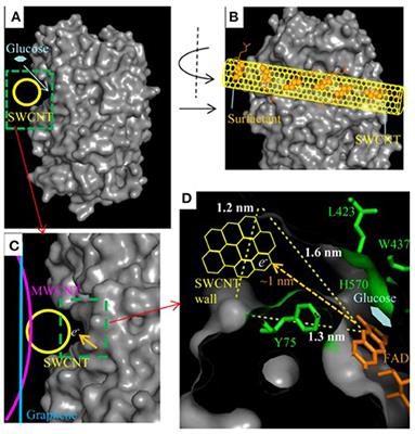 Recent Advances in the Direct Electron Transfer-Enabled Enzymatic Fuel Cells